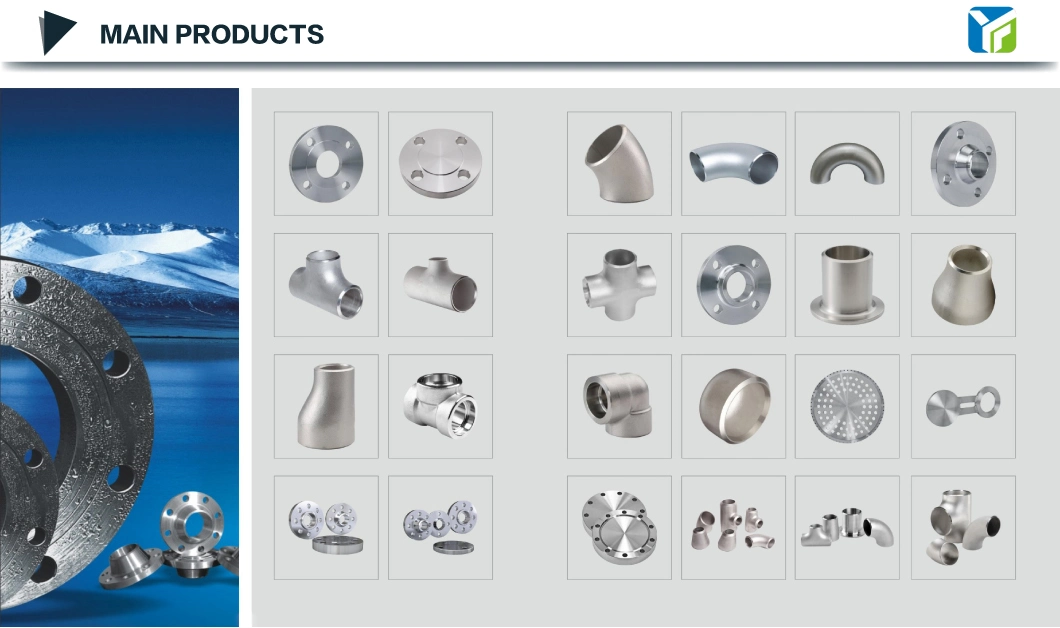 Stainless Steel Flanges Pipe Fittings Stub End with Lap Joint Flange